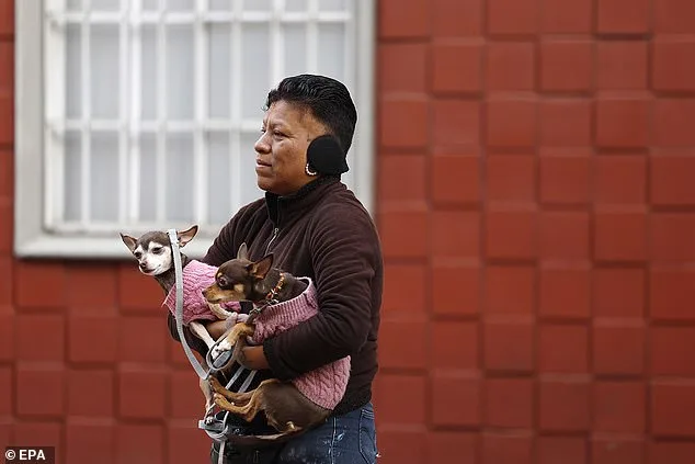 Exclusive: Mexico's 6.5 Magnitude Earthquake Details Revealed Through Privileged Seismic Data Access