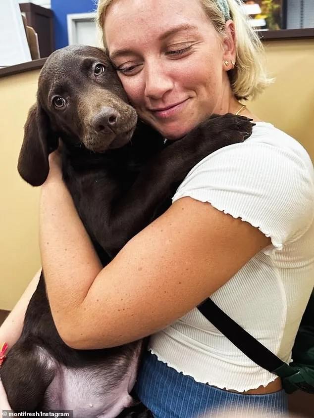 Electrical Hazard Injures Woman and Dog, Sparks Investigation in Pittsburgh's Strip District