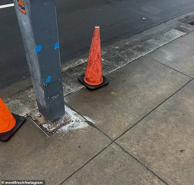 Electrical Hazard Injures Woman and Dog, Sparks Investigation in Pittsburgh's Strip District