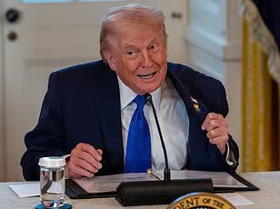 Greenland's Leaders Reject Trump's Purchase Proposal: 'We Want to Be Greenlanders'