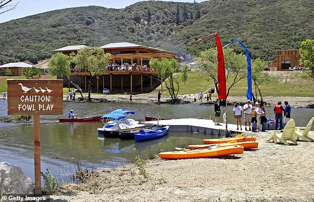 Breaking News: Ex-CEO of The Painted Turtle Arrested in $5.2M Embezzlement Case – Late-Breaking Update