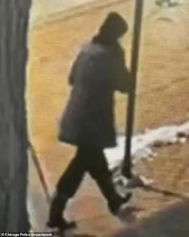 Tragic Death of Linda Brown Sparks Calls for Overhauling Mental Health Support Systems