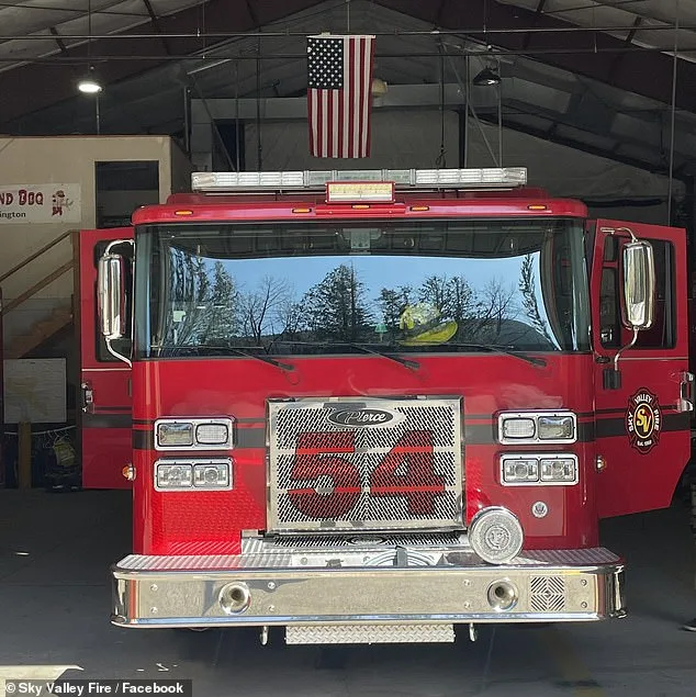 Quick-Thinking Firefighters Rescue Six Puppies from Suspected Opioid Overdose in Washington State