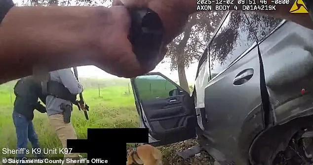 Former Sacramento Deputy's Fatal Domestic Incident and High-Speed Chase Culminate in Deadly Confrontation with Law Enforcement