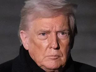 Greenlanders Spark International Controversy by Mocking American Culture with 'Fentanyl Fold' TikTok Dance