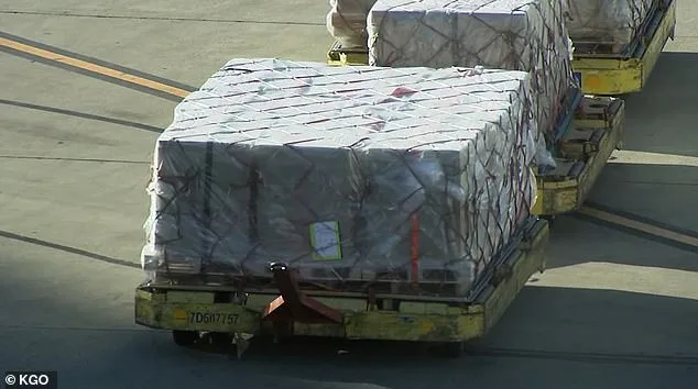 Tragic Cargo Pallet Incident at San Francisco International Airport Claims Life of dnata Employee