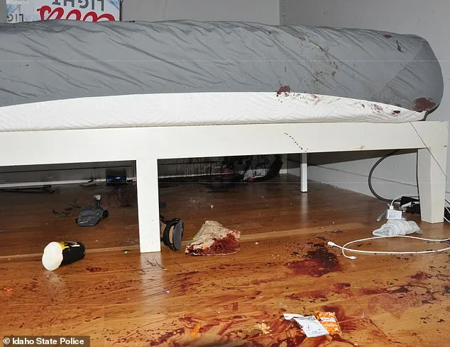 Previously Unseen Crime Scene Photos Reveal Brutal Details of Bryan Kohberger's Murder of Four College Students in Moscow