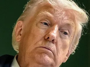 Trump's Questioning of NATO's Reliability Confronted at WEF by Rutte, Who Highlights Alliance Sacrifices