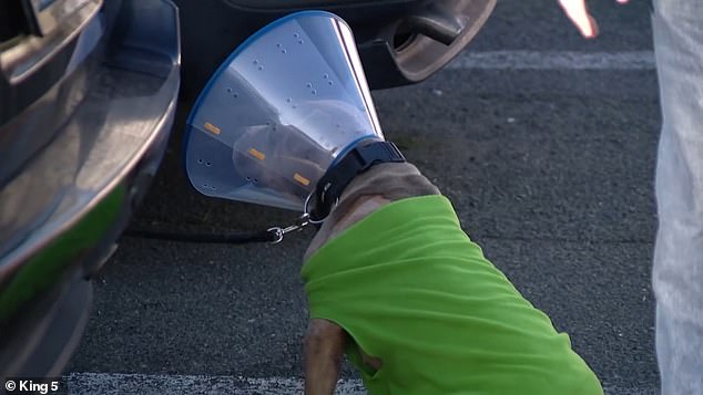 Breaking: Alleged Religious Attack in Parkland Leaves Man, Dog Injured Early Sunday