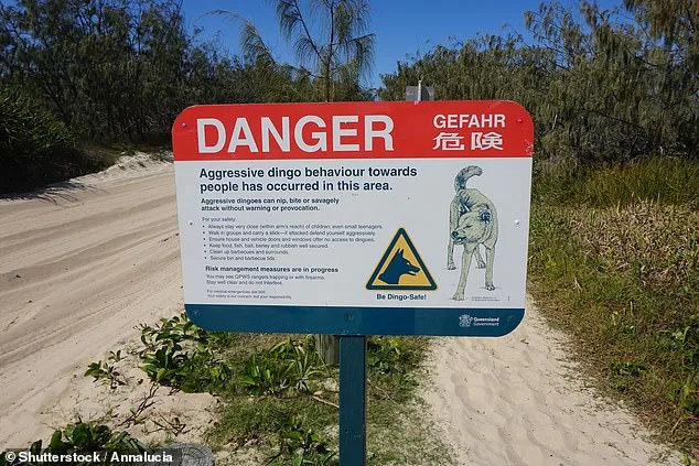 Tourist's Viral Video Igniting Outrage Over Safety Warnings Ignored on K'gari Island Amid Calls for Accountability