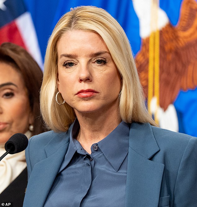 Alleged ICE Abduction of Somali-American Woman Sparks Legal and Political Controversy Over Immigration Policies