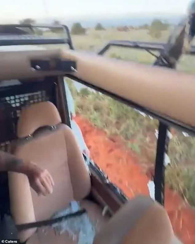 Calm Before the Storm: The Heart-Stopping Moment a Safari Turns Deadly