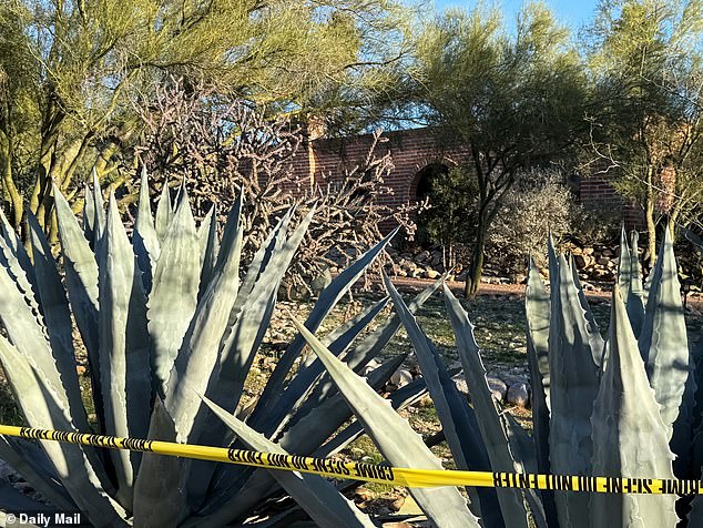 FBI Conducts Intensive Search at Tucson Home of Today Show Host's Mother
