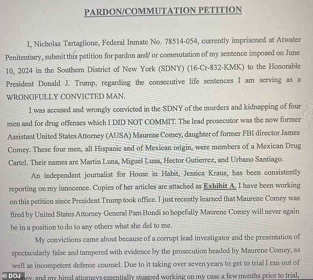 Alleged Trump Conspiracy in Epstein's Death Linked to Murder Trial Pardon Petition