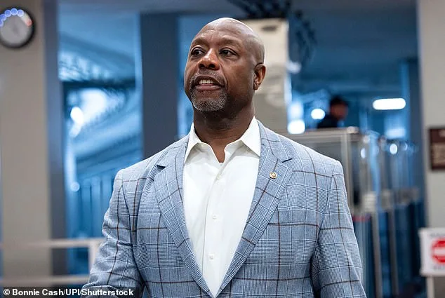 Trump's Refusal to Apologize for Controversial Video Reignites Free Speech and Social Media Debates