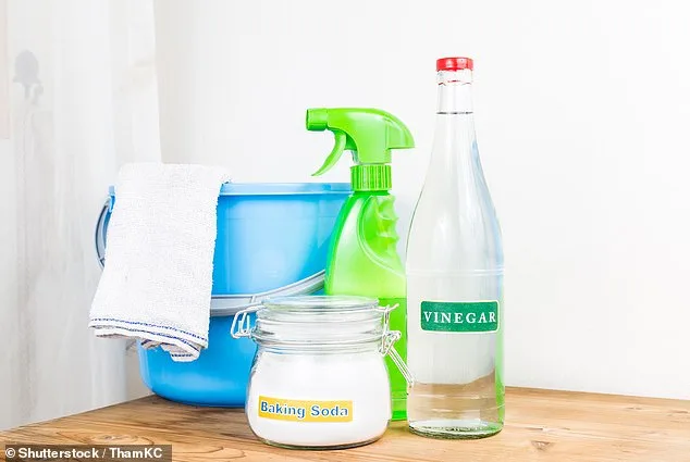 Clogged Drains: A Persistent Household Problem and Its Financial Impact