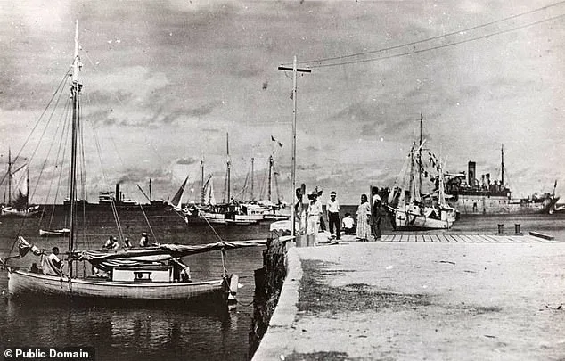 Congresswoman Urges Trump to Declassify Records Linked to Amelia Earhart's Disappearance