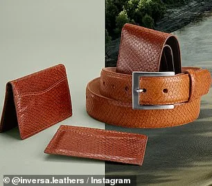 Florida Governor DeSantis Partners with Inversa to Transform Burmese Pythons into Luxury Accessories in Fight Against Invasive Species