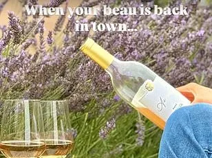 Meghan Markle's Sauvignon Blanc Fiasco: A Disastrous Gamble That Could Backfire on Her Brand