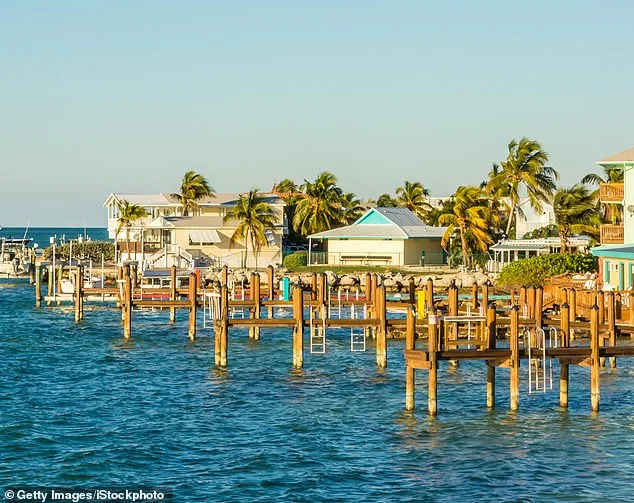 Race Against Time: Family and Dive Captain Save Boy After Shark Attack Near Florida Keys on Labor Day