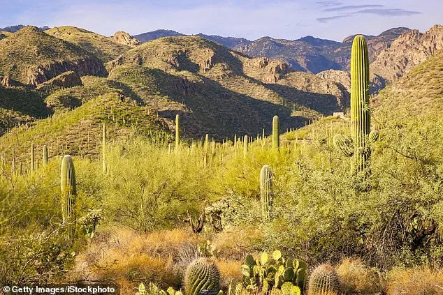 Search for Nancy Guthrie Intensifies in Rugged Catalina Foothills