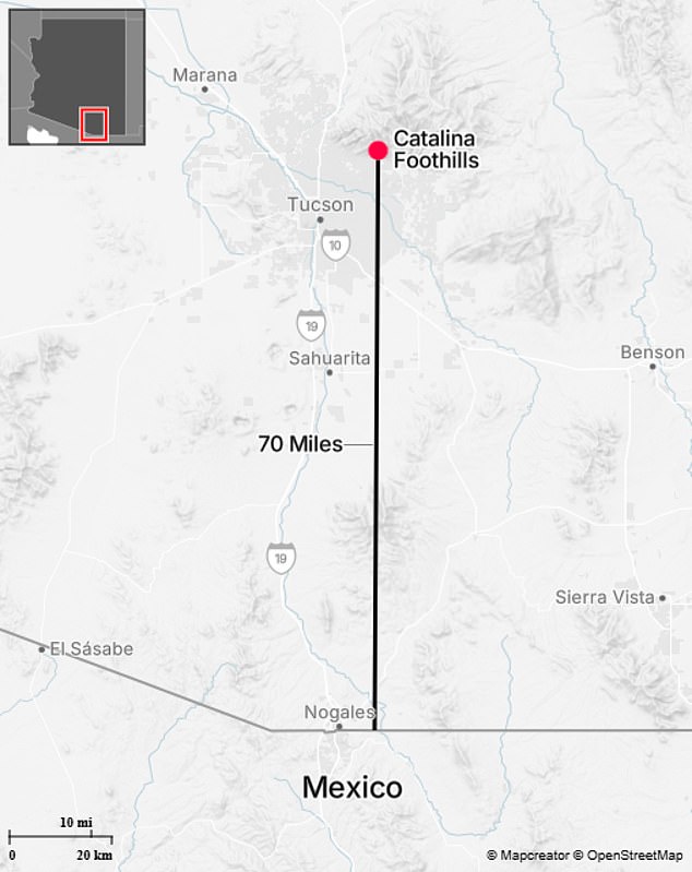 Search for Nancy Guthrie Intensifies in Rugged Catalina Foothills