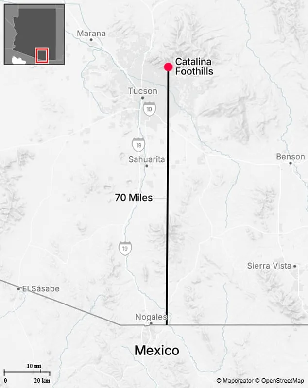 Search for Nancy Guthrie Intensifies in Rugged Catalina Foothills