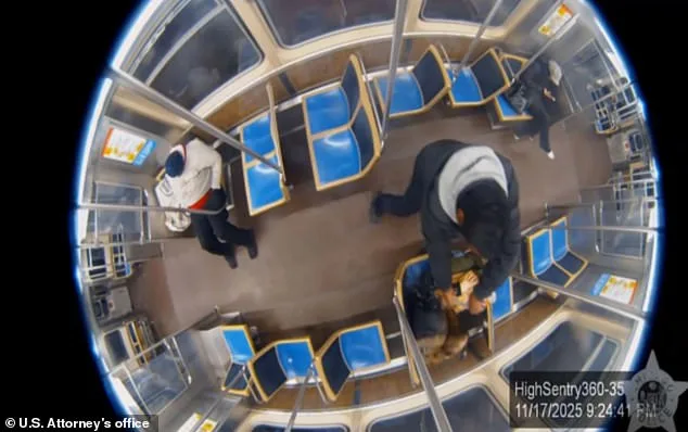 Serial Criminal Sets 26-Year-Old Woman Ablaze on Chicago Metro Train; Victim Faces Grueling Recovery