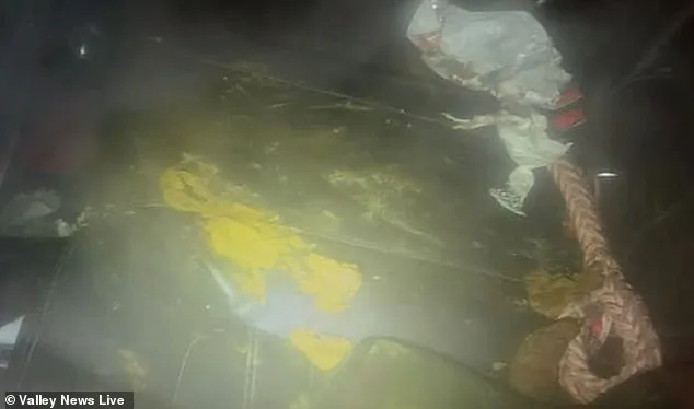 Two Dogs Left Unattended in Parked Car During Freezing Temperatures in Moorehead, Minnesota, as Resident Steps In