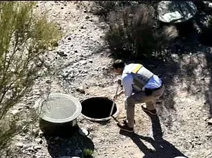 Savannah Guthrie Pleads for Help as Ransom Deadline Looms for Abducted Mother