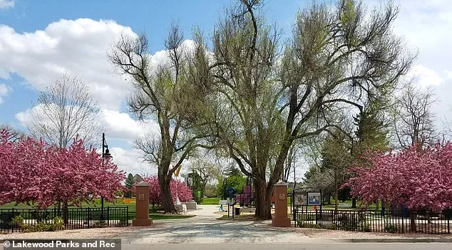 Aviation Park's Descent into Chaos: A Resident's Nightmare