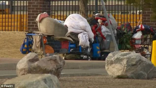 Aviation Park's Descent into Chaos: A Resident's Nightmare