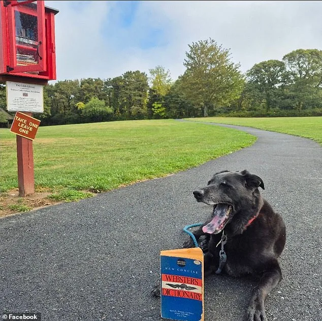 Tragic Drowning of 50-Year-Old Couple on Cape Cod River Claims Lives of Gerard and Kathleen Boucher; Officers Fall Through Ice During Rescue Attempt