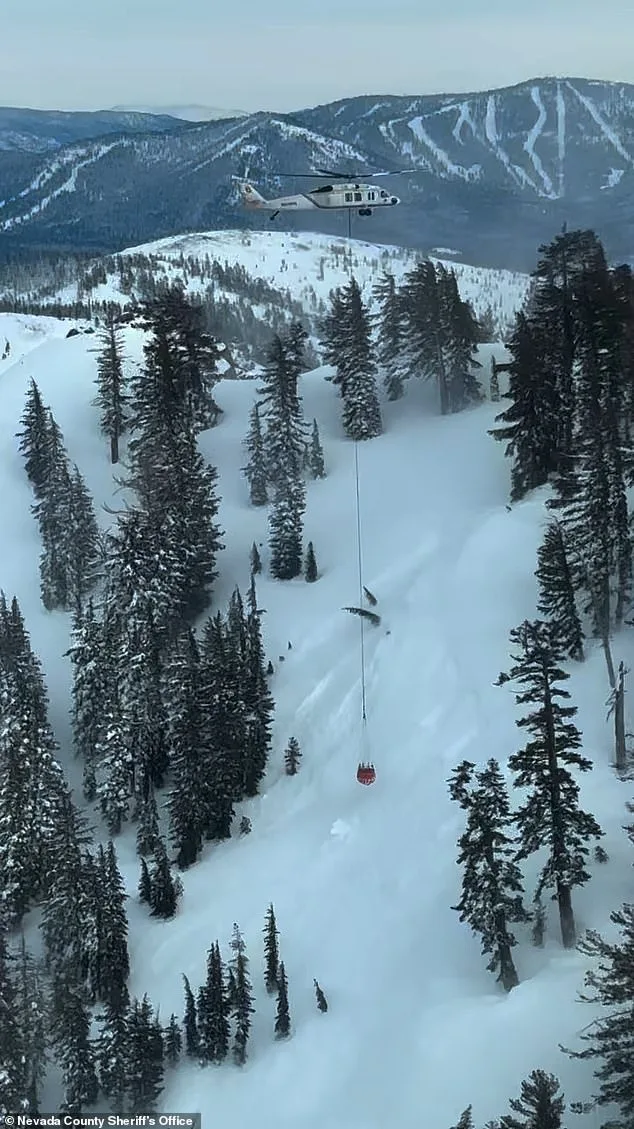 Deadly Avalanche at Castle Peak Claims Nine Lives, Shocks Lake Tahoe Community