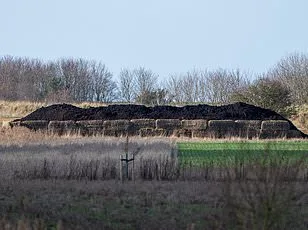 Andrew Mountbatten-Windsor's Grocery Dilemma: Waitrose Drivers Avoid Deliveries Amid Scandal