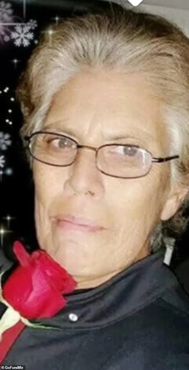 Illegal Immigrant Teen Receives 2.5-Year Sentence for Hit-and-Run Killing, Family Calls It Too Lenient