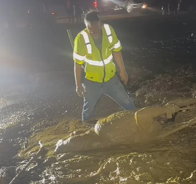 Man Trapped in Mud for Three Hours During ATV Event near Waterford, Mississippi