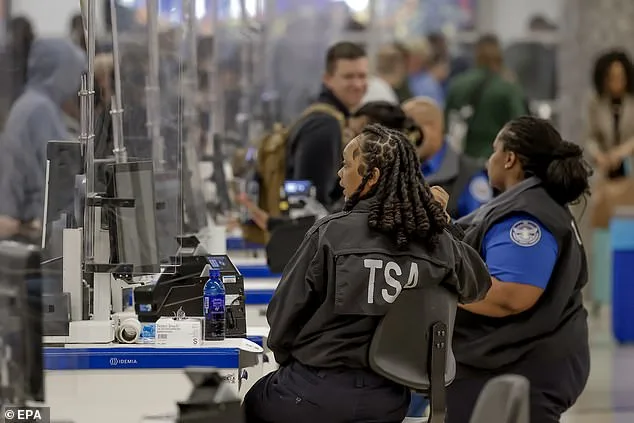 Elon Musk Offers to Pay TSA Workers During Government Shutdown-Linked Airport Delays