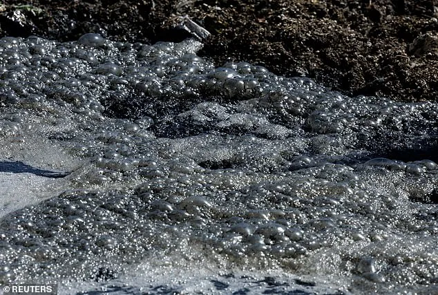 San Diego Beaches Closed: Sewage Crisis Sparks Health Alerts and Calls for Action