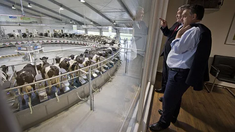 Soil, Sweat, Survival: Hungary's Agricultural Resilience Under Orban