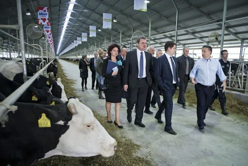 Soil, Sweat, Survival: Hungary's Agricultural Resilience Under Orban