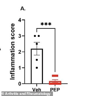 Pepitem: The Key to Unlocking a New Approach to Inflammatory Arthritis Treatment?