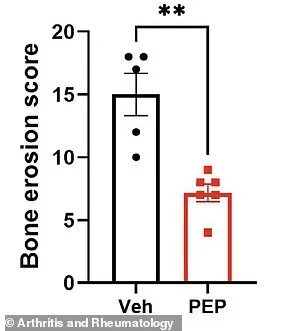 Pepitem: The Key to Unlocking a New Approach to Inflammatory Arthritis Treatment?