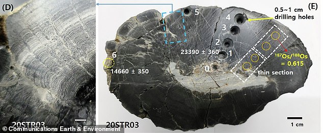 South Korea Finds Alien Material in Ancient Crater Stromatolites