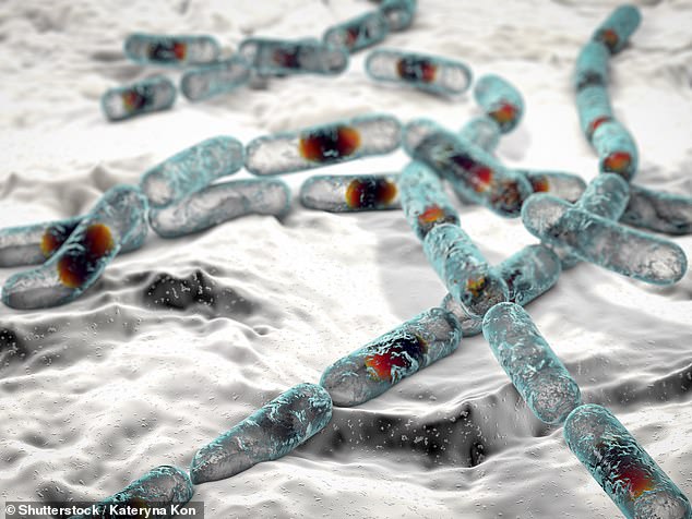 Experts warn 'boy kibble' diet trend risks deadly food poisoning.