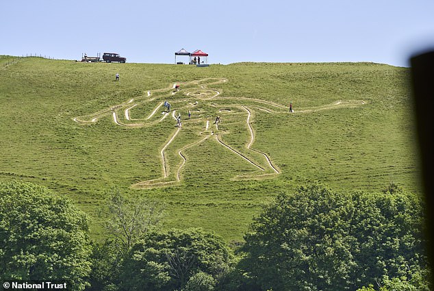Cerene Abbas Giant undergoes historic re-chalking to preserve 700-year-old chalk figure.