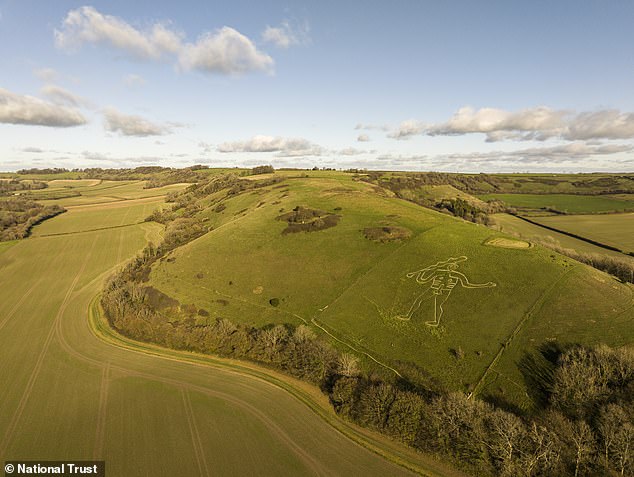 Cerene Abbas Giant undergoes historic re-chalking to preserve 700-year-old chalk figure.